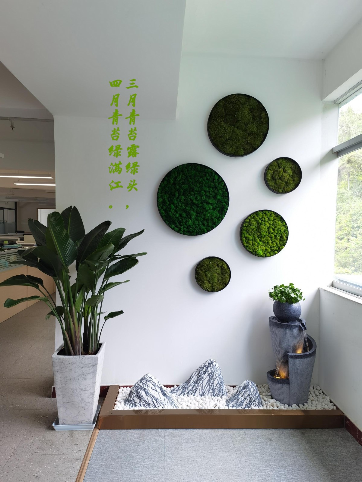 自然生长 未来可期
